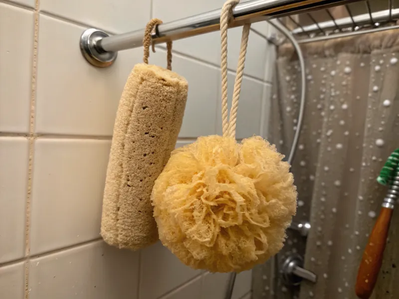 Old Loofahs