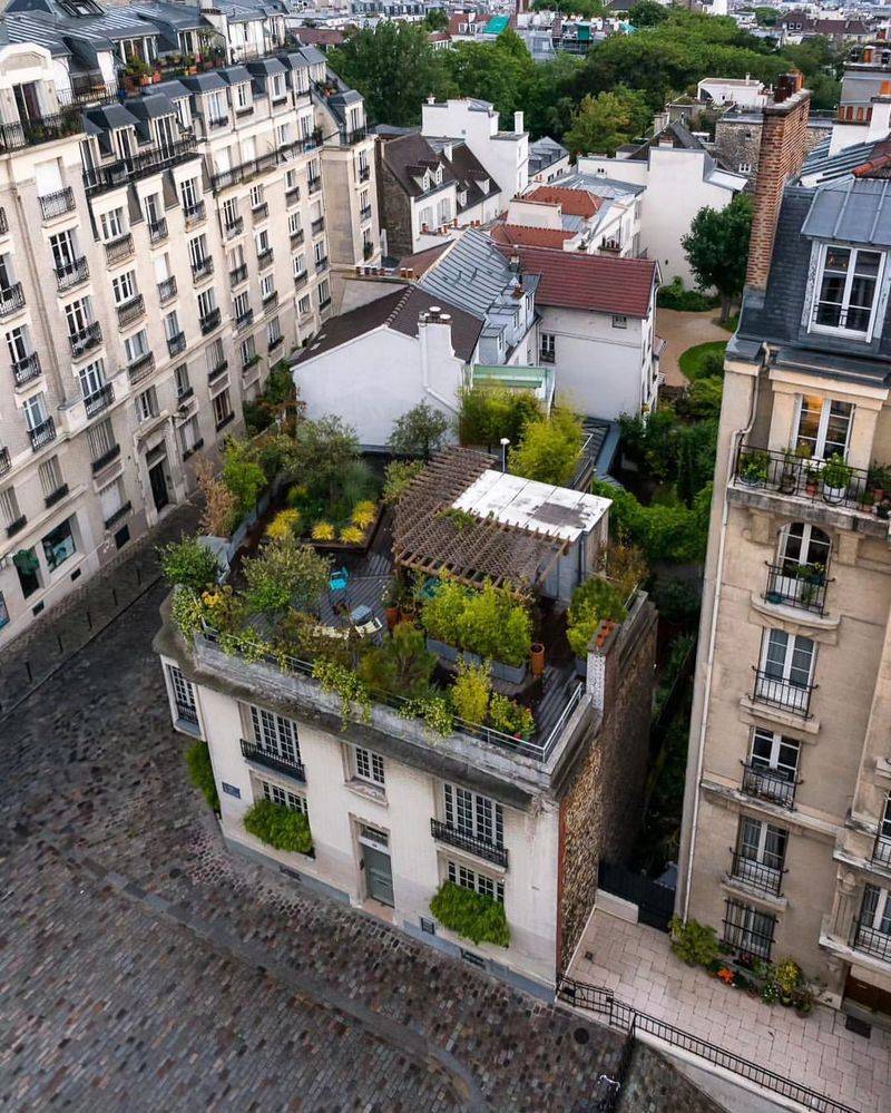 Parisian Rooftop Haven