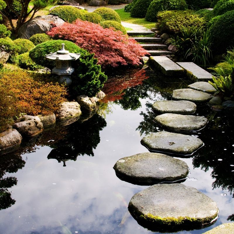 Peaceful Garden Pond