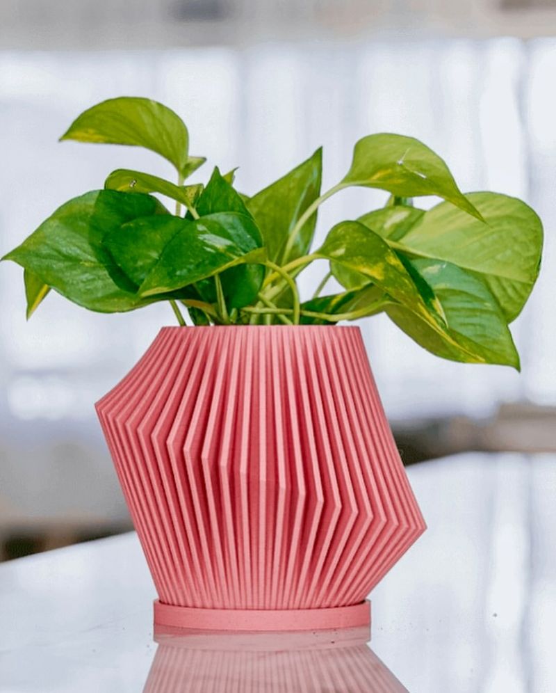 Pink Planters