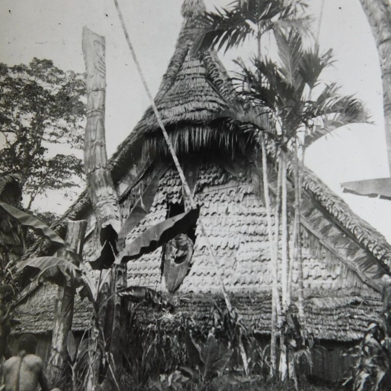 Polynesian Fale