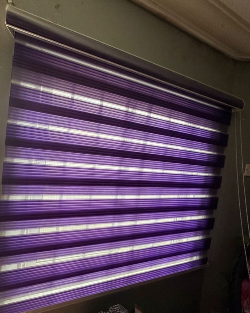 Purple Window Blinds