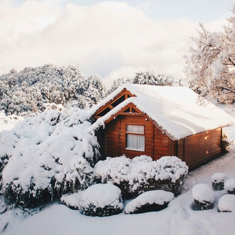 Rustic Mountain Cabin