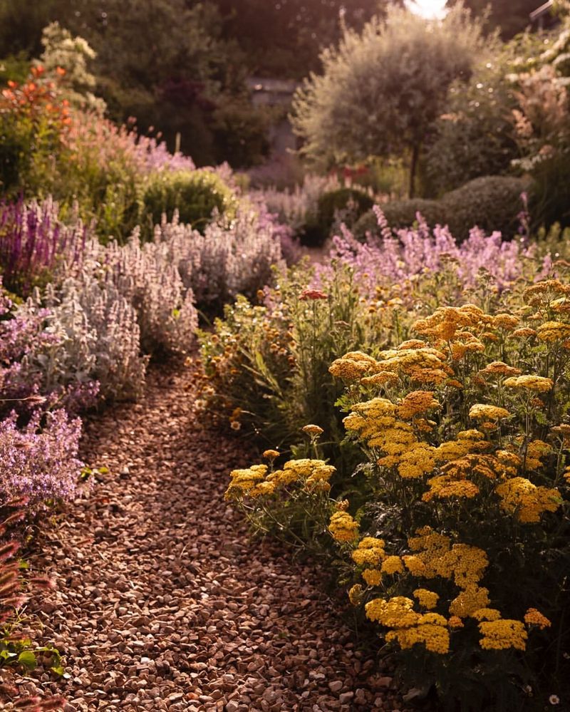 Serene Pebble Pathway