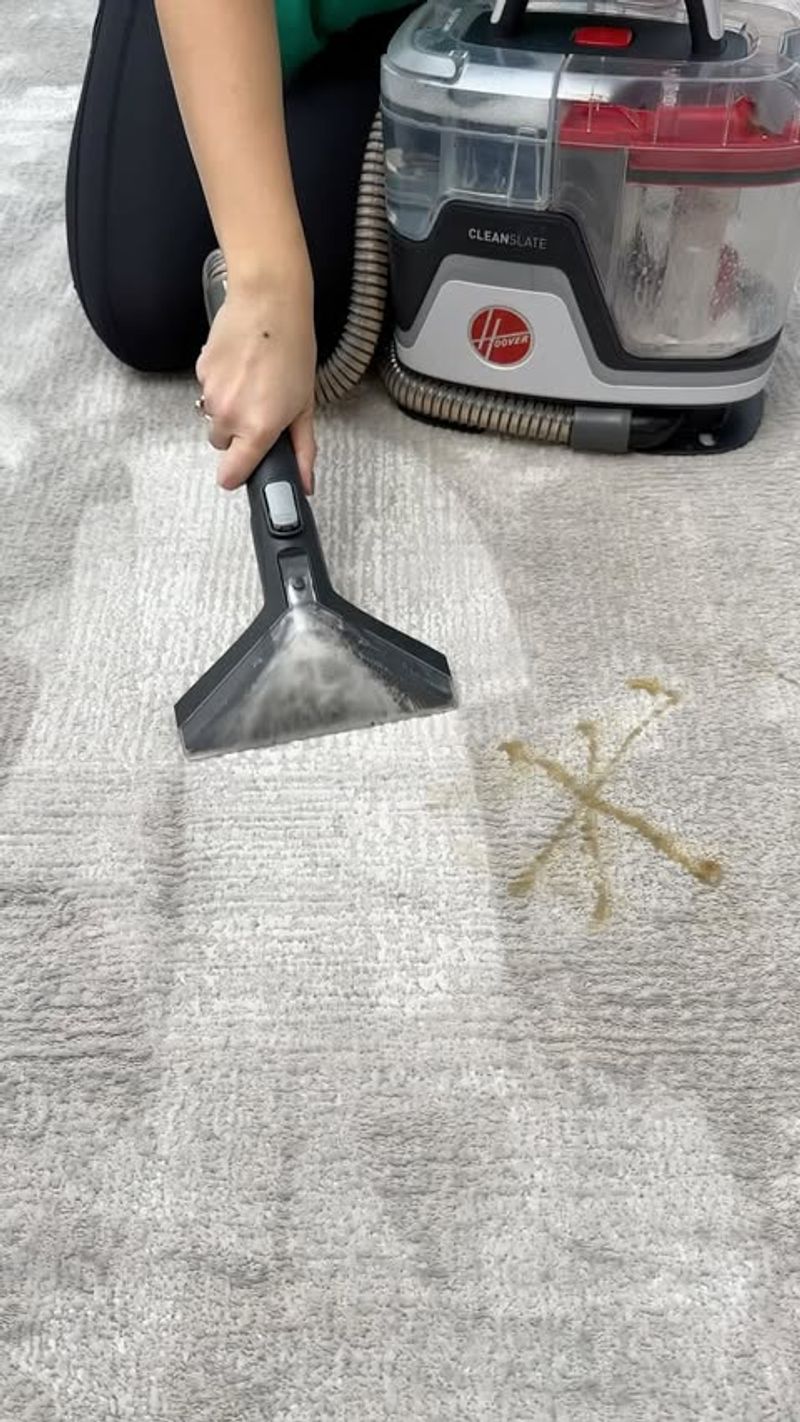 Skip Carpet Cleaning