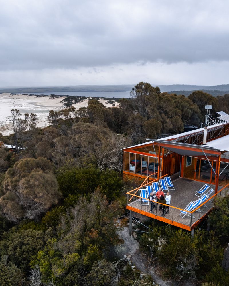 Tasmanian Forest Treehouse