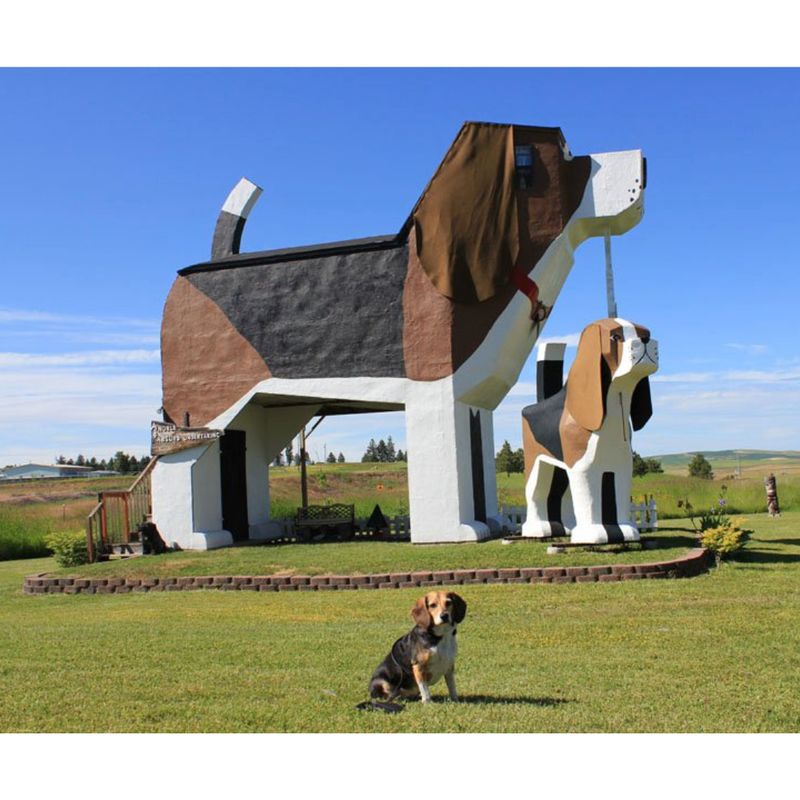 The Dog Bark Park Inn – Idaho, USA