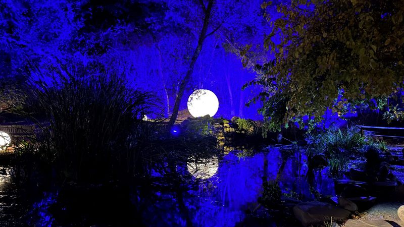 The Midnight Moon Garden