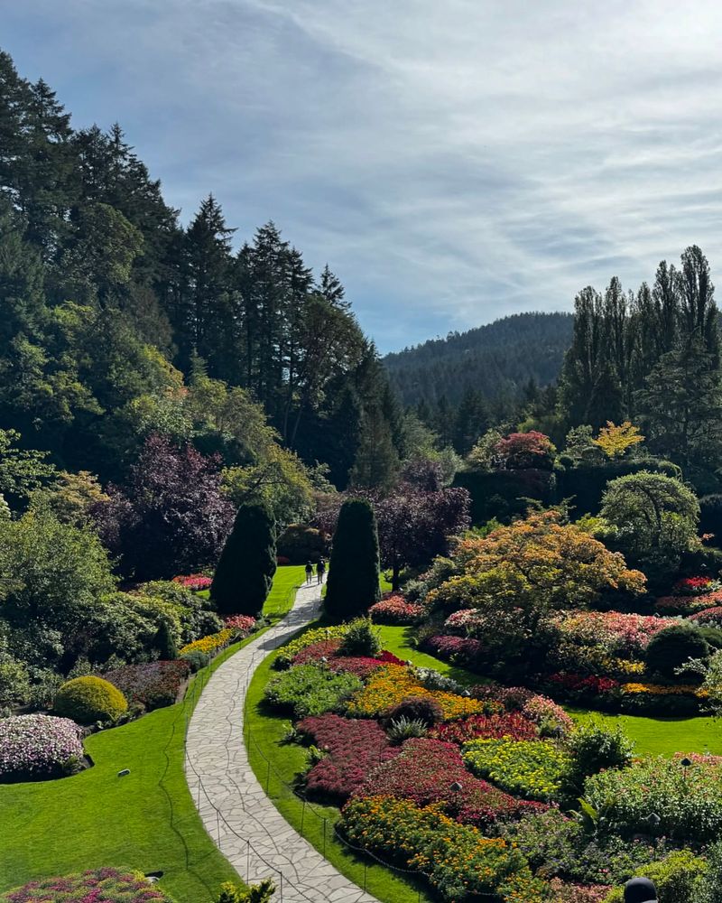 The Mystic Mountain Garden