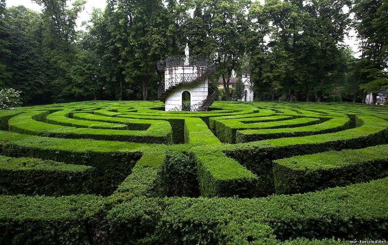 The Mystical Maze Garden