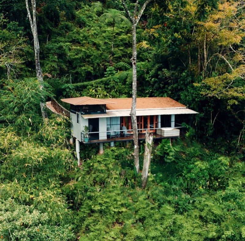 The Treehouse – Costa Rica