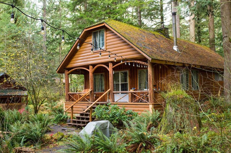 Timberline Cabin, Washington