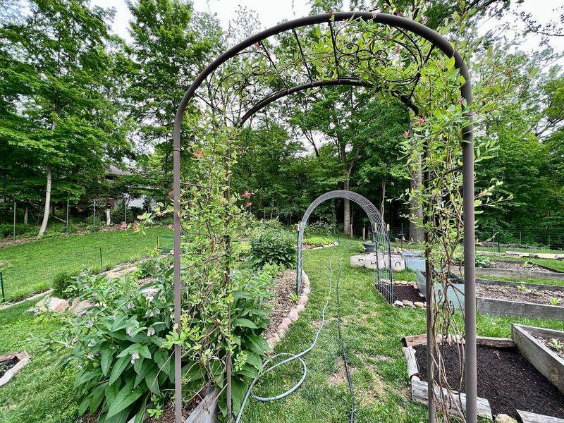 Trellis Archway