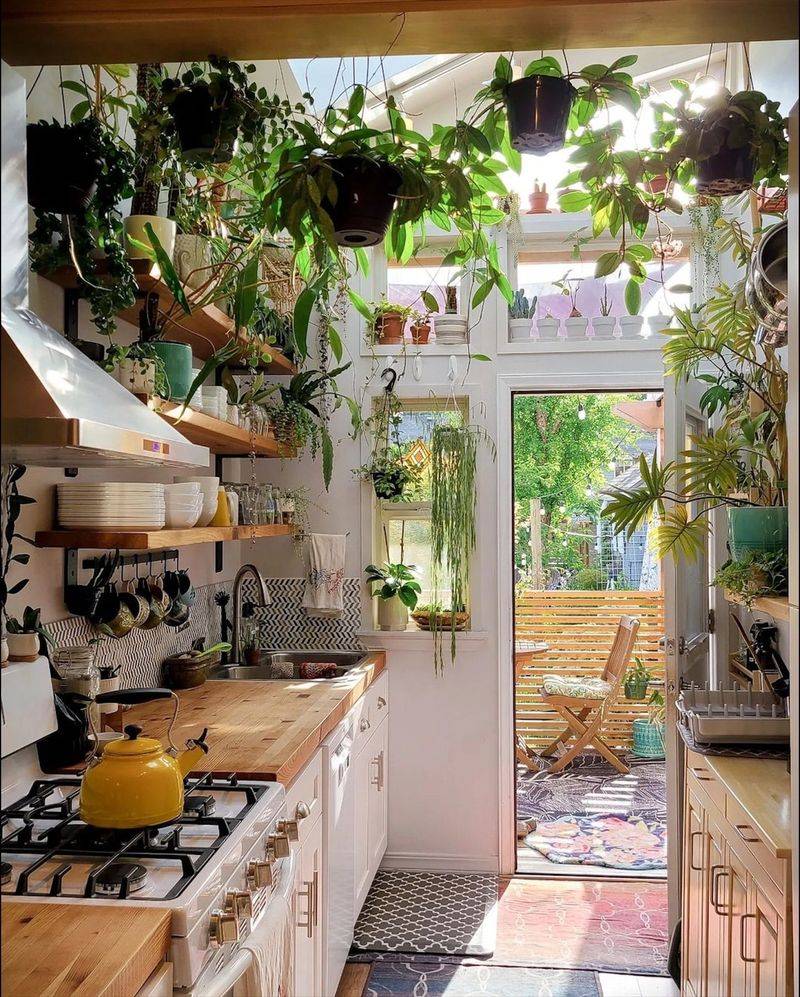 Use Greenery for Freshness