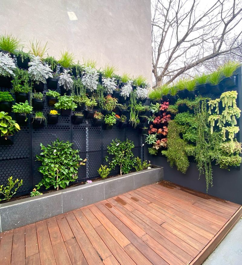 Vertical Garden Fence