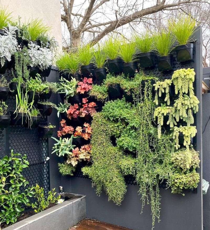 Vertical Gardens