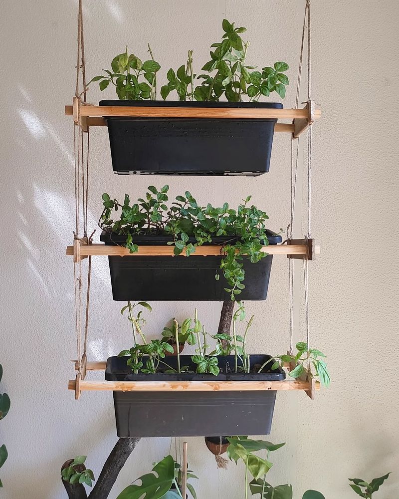 Vertical Herb Garden Wall