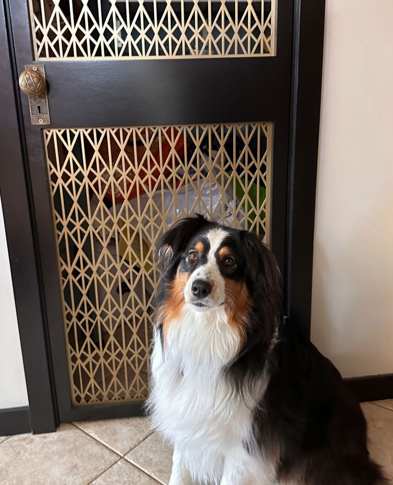 Vintage Screen Door