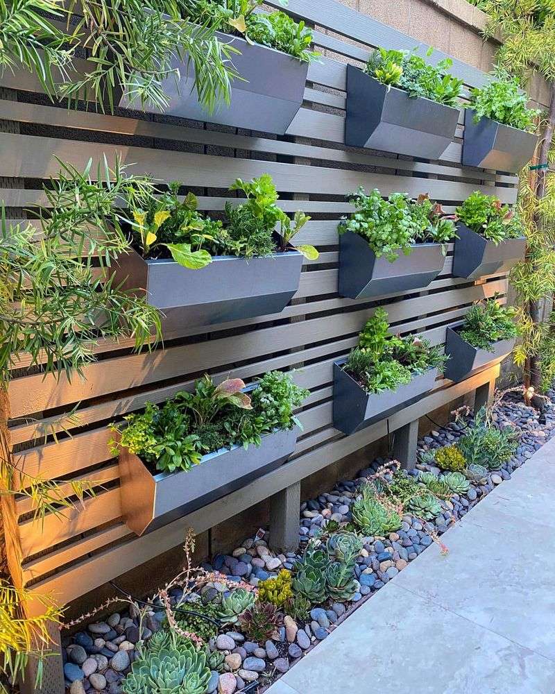 Wall-Mounted Planters