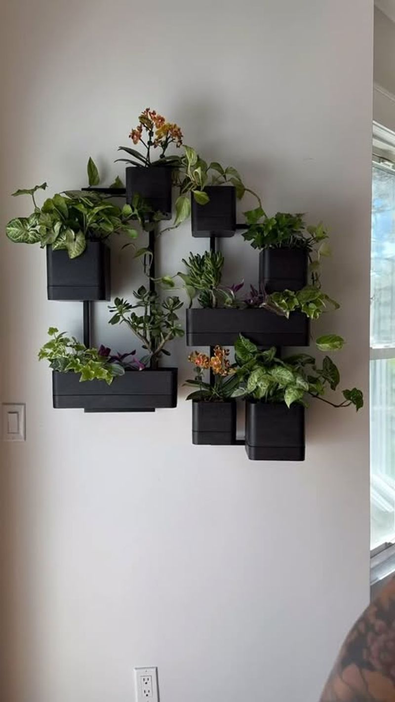 Wall Mounted Planters