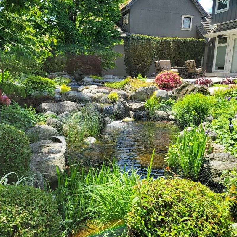 Water-Wise Landscaping