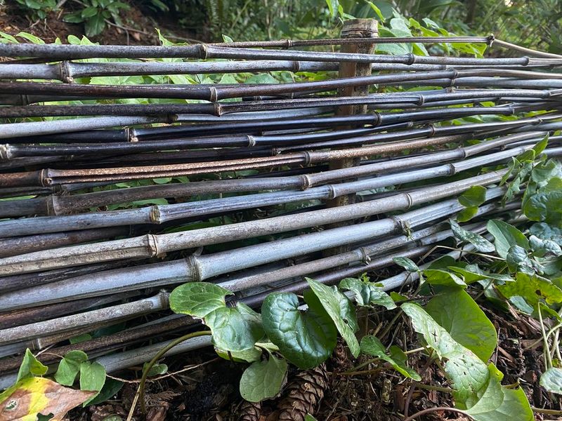 Wattle Fence