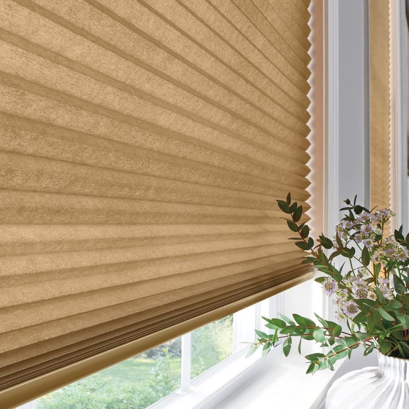 Wheat-Colored Blinds