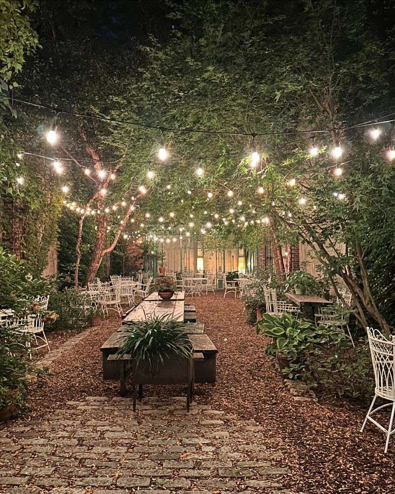 Whimsical Fairy Lights