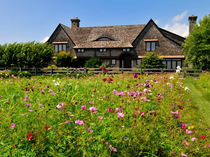 Wildflower Meadows