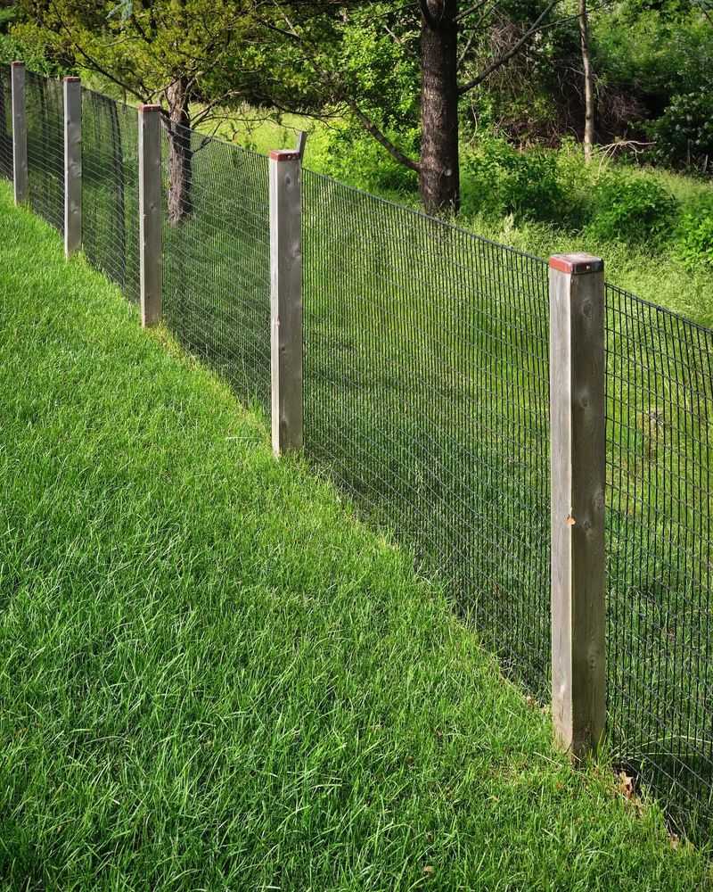 Wood and Wire Mesh Fence