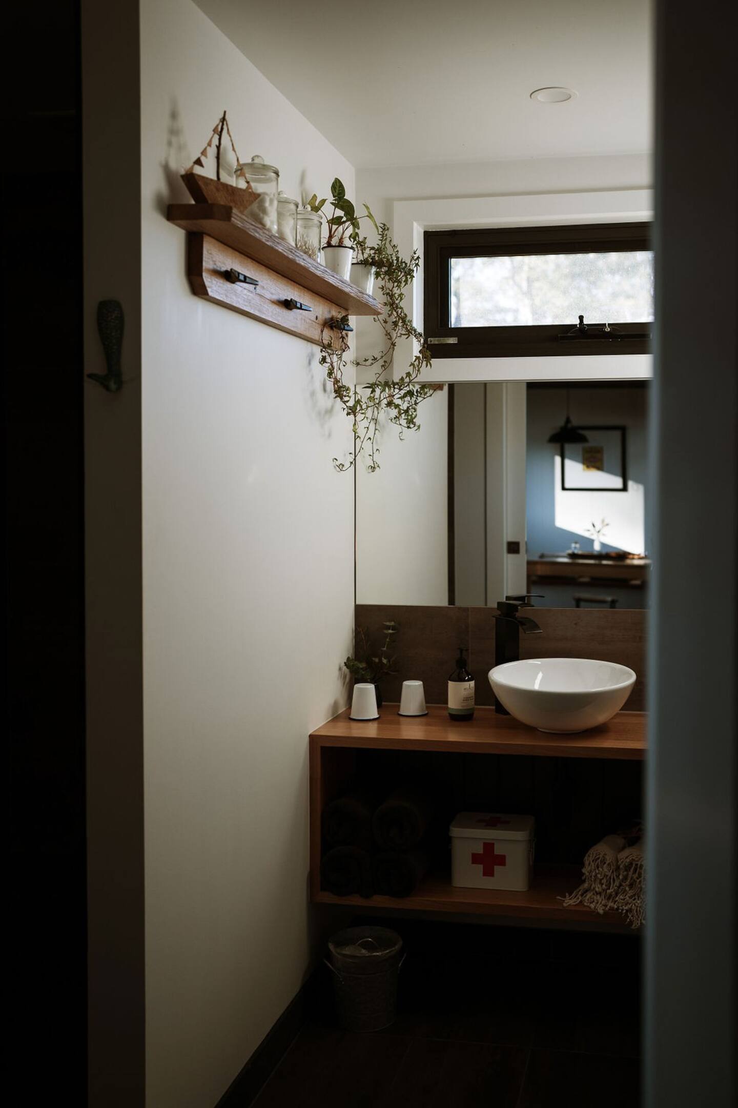 bathroom with a white sinks, wooden shelf with plants