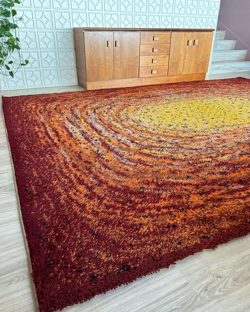 1970s Shag Carpets