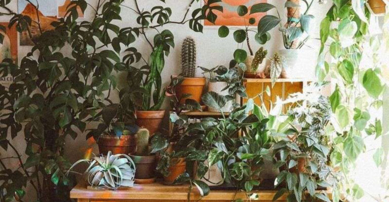 23 Ideas For Decorating A Wide Open Space