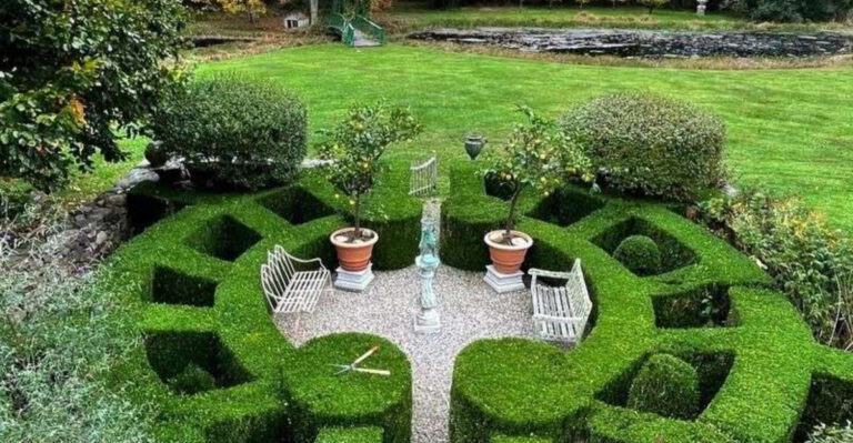 24 Once-Popular Landscaping Trends That Are Now Outdated