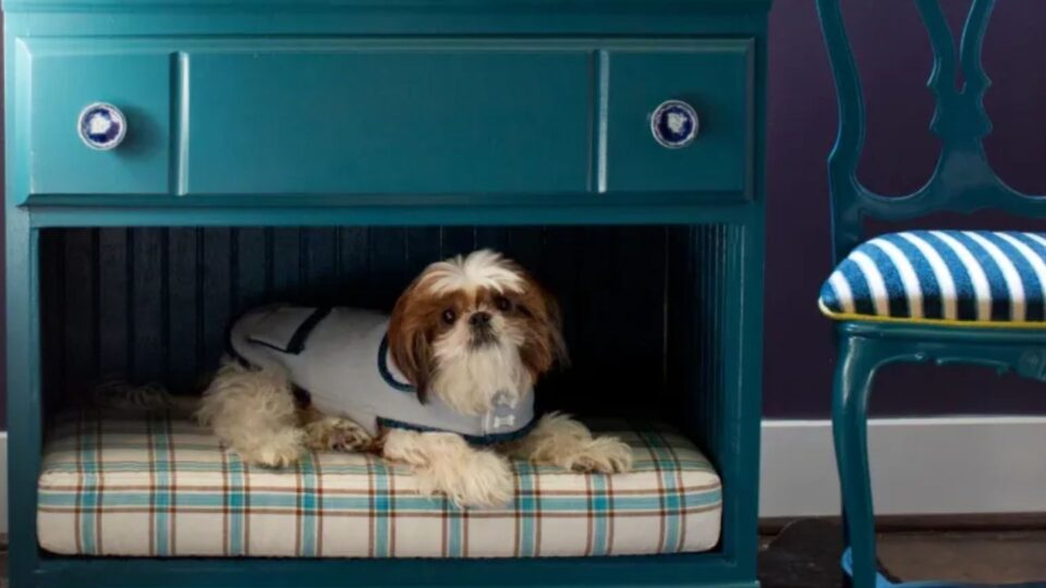 View of 31 Genius Upcycling Tricks To Transform Old Furniture
