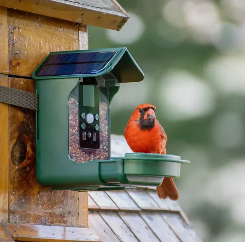 Add a Bird Feeder