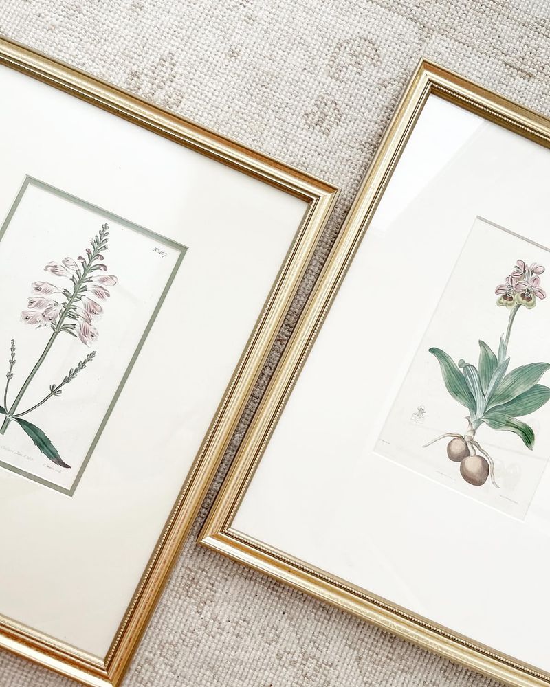 Antique Botanical Prints