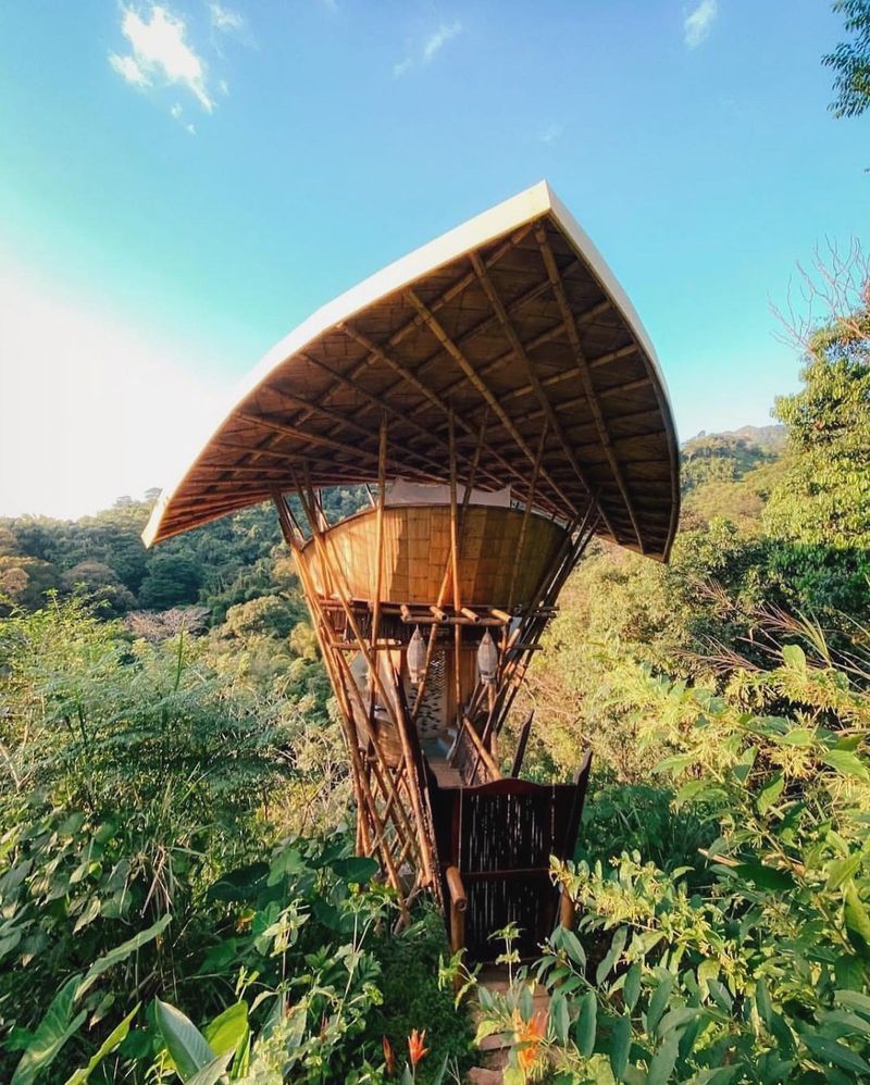 Bamboo Wildlife Observation Tower