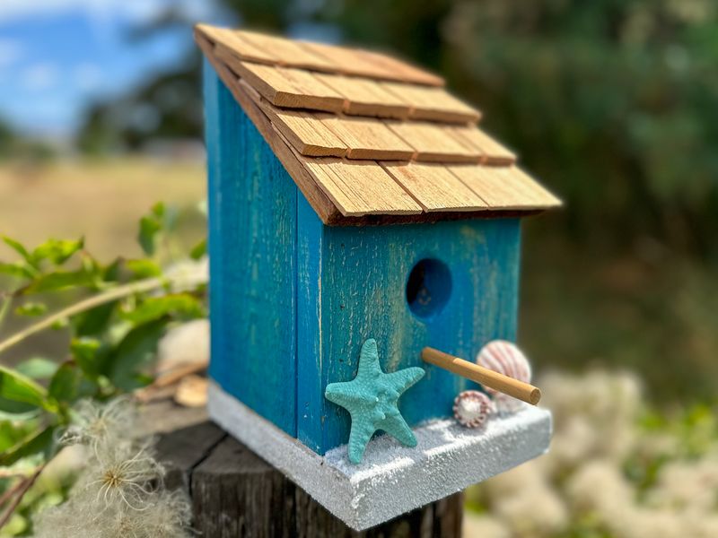 Beach Cabin Birdhouse