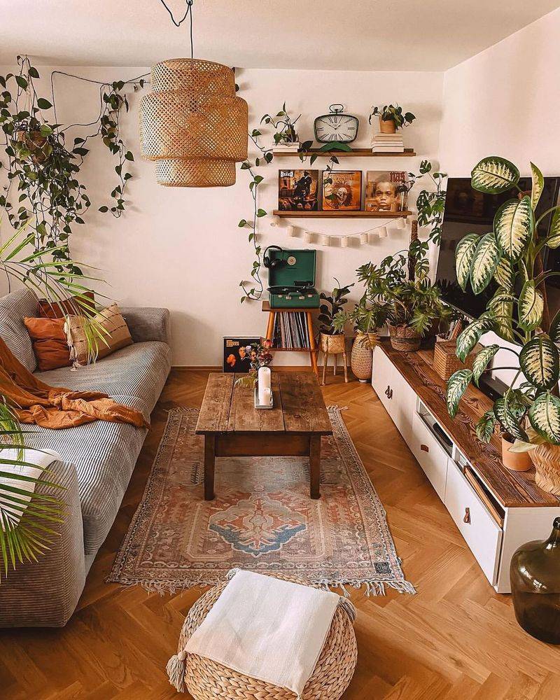 Boho Urban Jungle