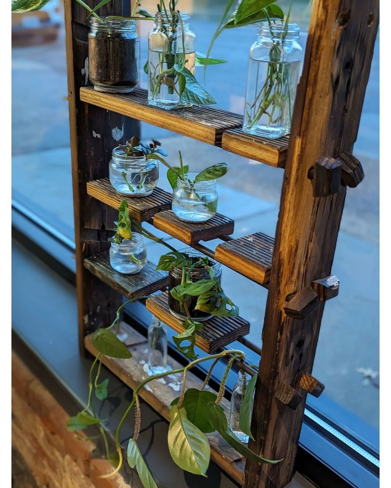 Bookshelf Garden