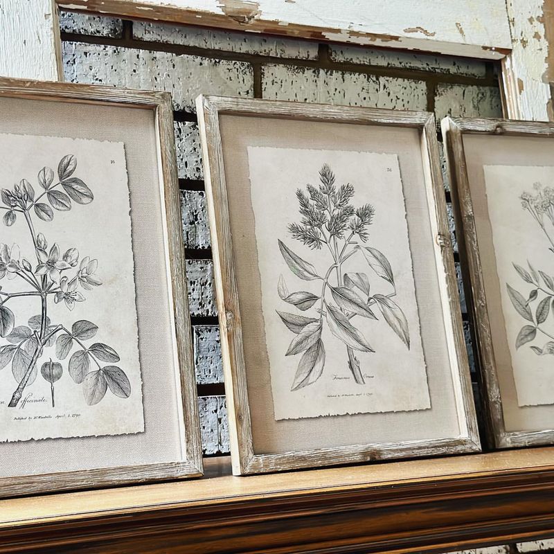 Botanical Prints