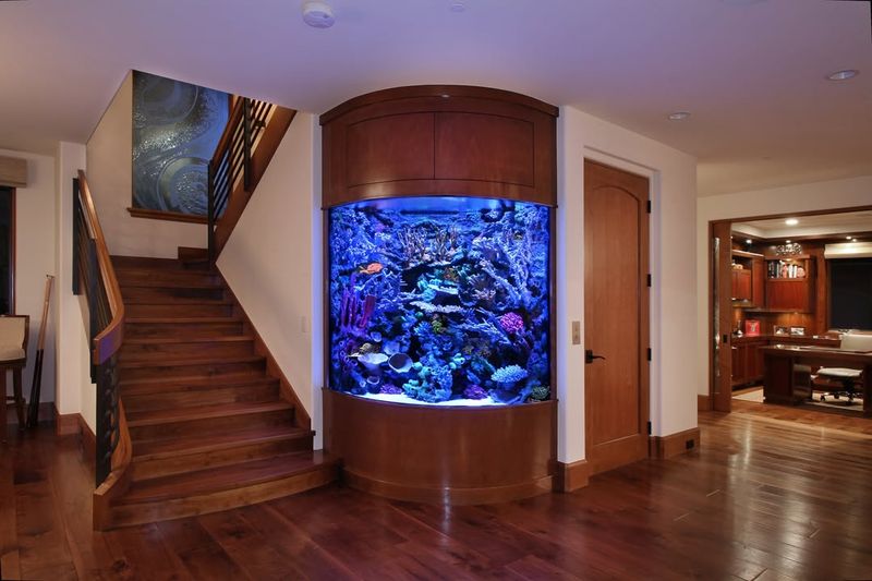 Built-In Aquariums