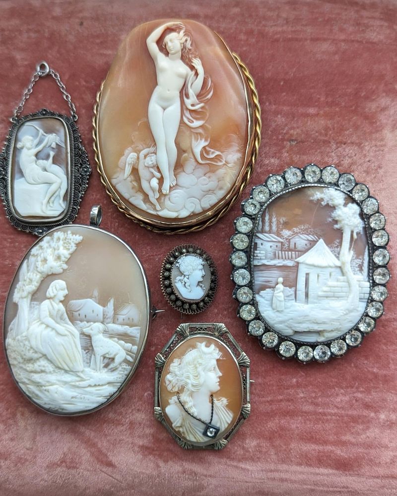 Cameo Brooches