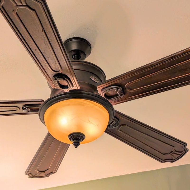 Ceiling Fan Fiasco