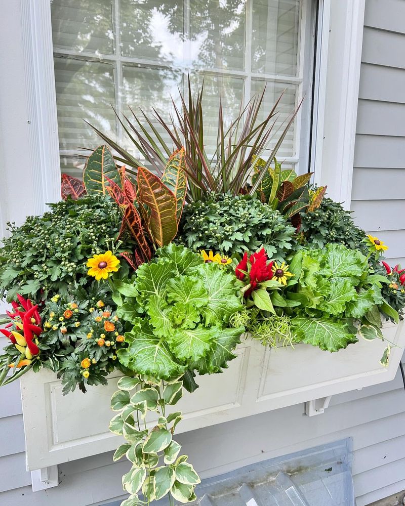 Charming Window Boxes