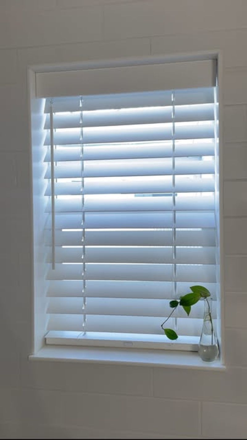 Cheap Window Treatments