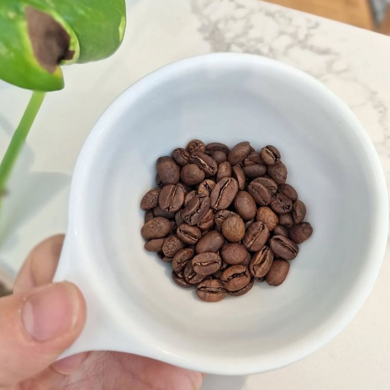 Coffee Beans