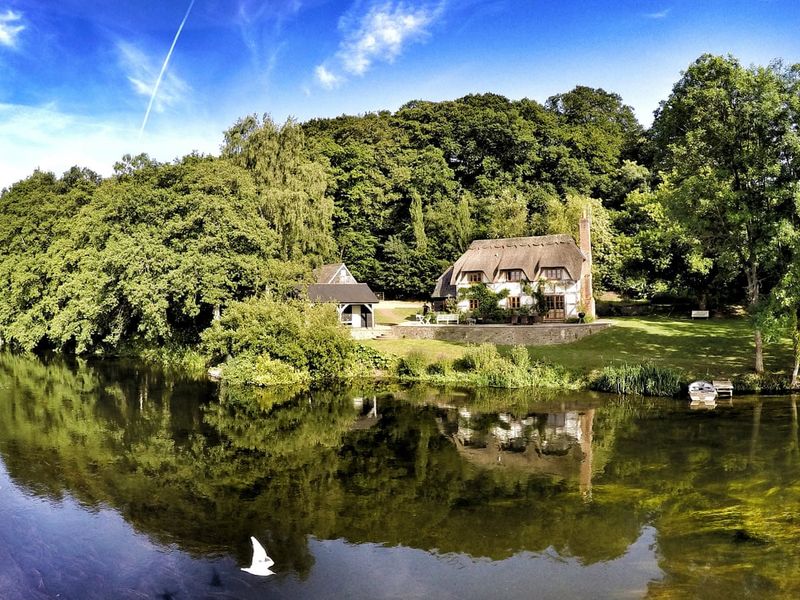 Cottage on the Edge of Forever