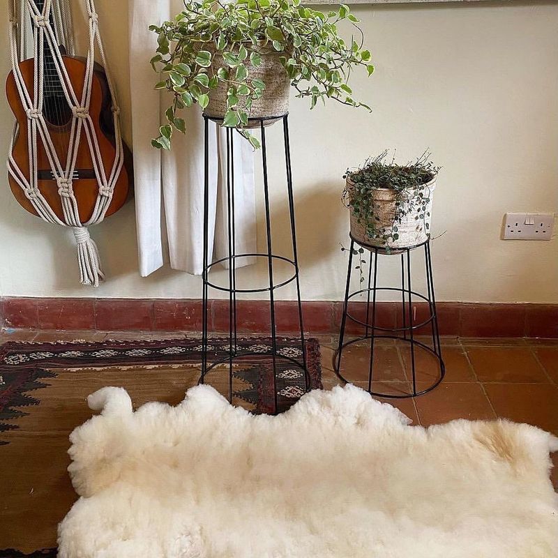 Cozy Sheepskin Rugs